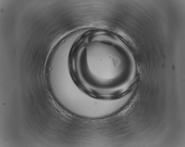 X0000070190876200605261155