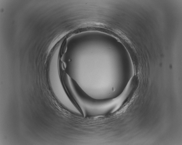 X0000070190877200605261155