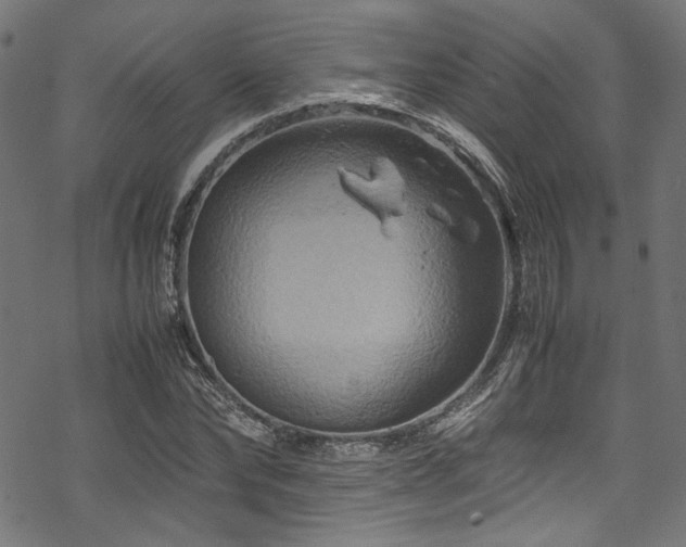 X0000070190878200605261155