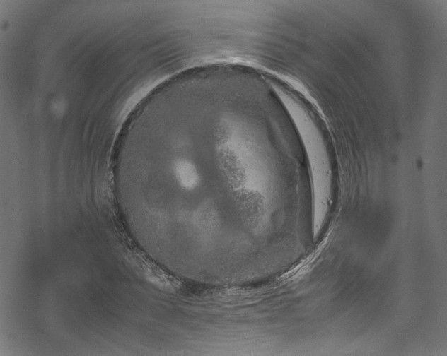 X0000070190879200605261155