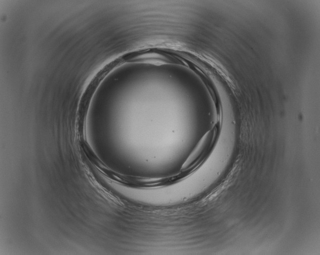 X0000070190880200605261155