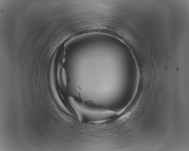 X0000070190881200605261155