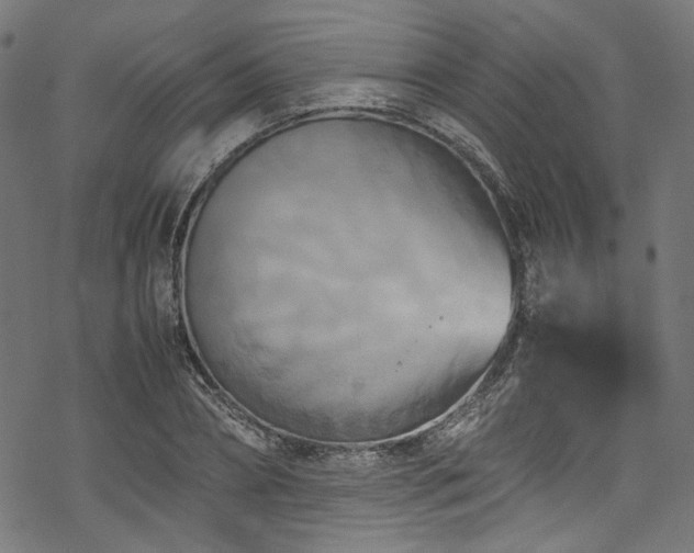 X0000070190882200605261155