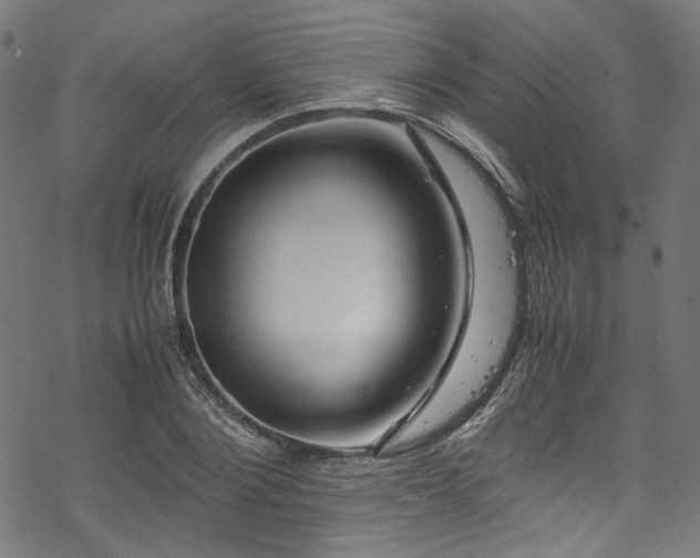 X0000070190884200605261155