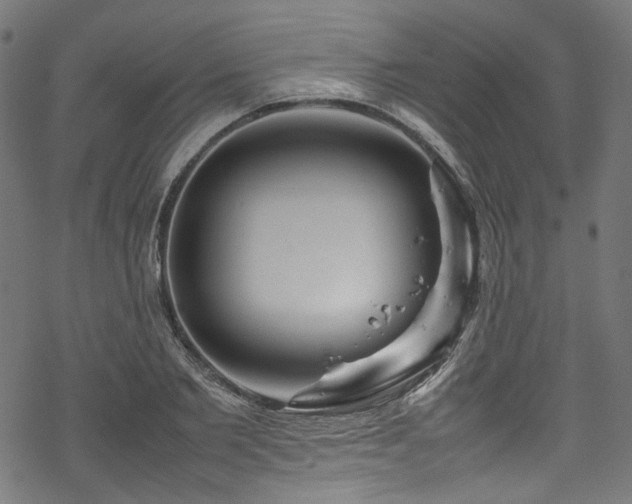 X0000070190885200605261155