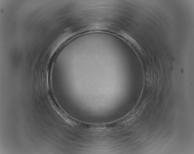 X0000070190886200605261155