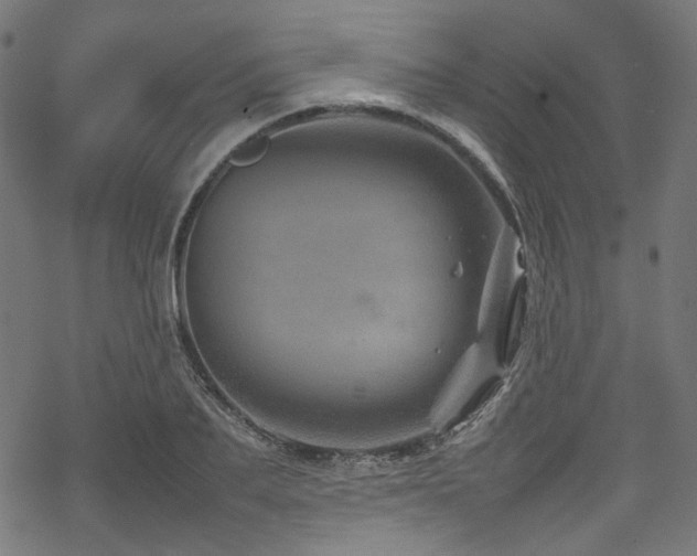 X0000070190887200605261155