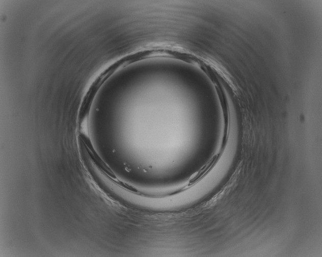 X0000070190888200605261155