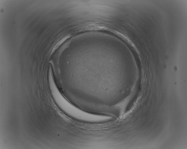 X0000070190889200605261155