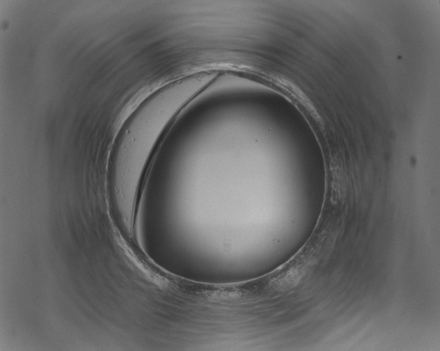 X0000070190890200605261155