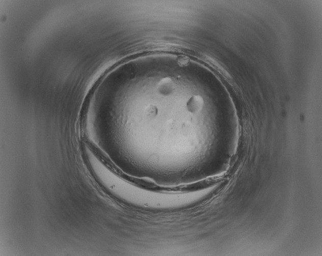 X0000070190891200605261155