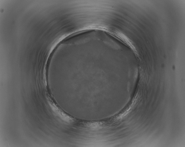 X0000070190892200605261155