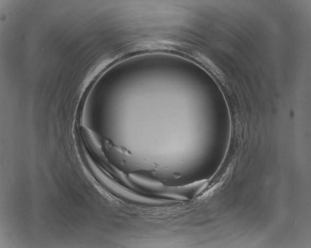 X0000070190893200605261155