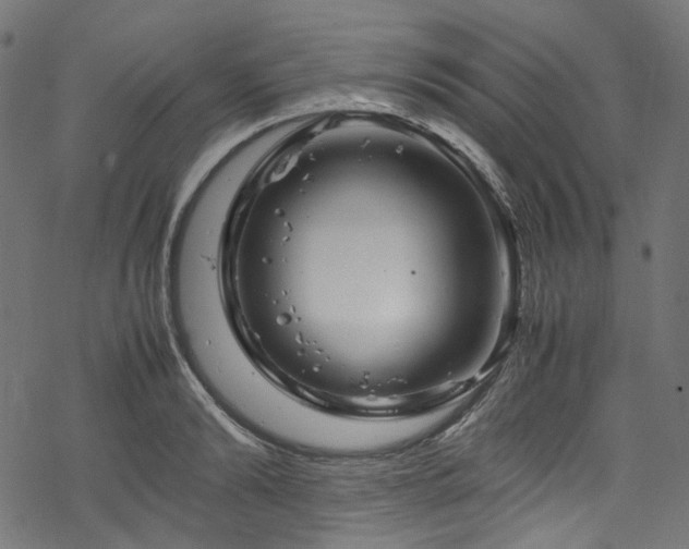 X0000070190894200605261155