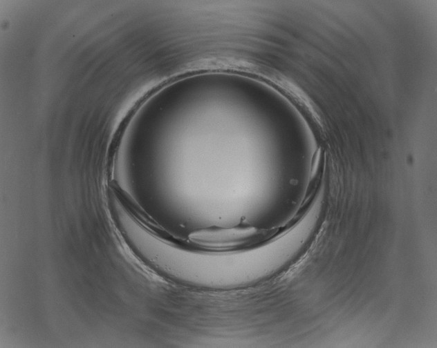 X0000070190896200605261154