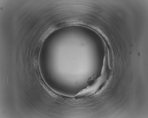 X0000070190897200605261154