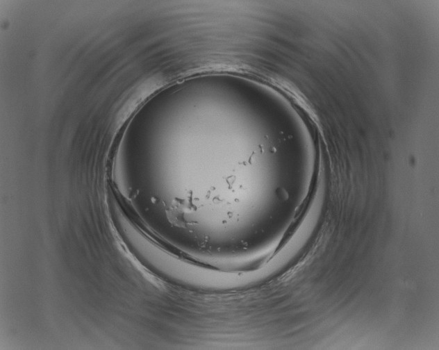 X0000070190898200605261154