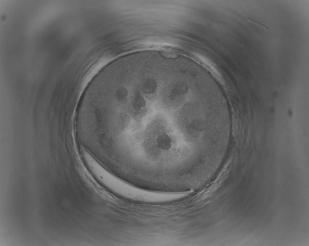 X0000070190899200605261154