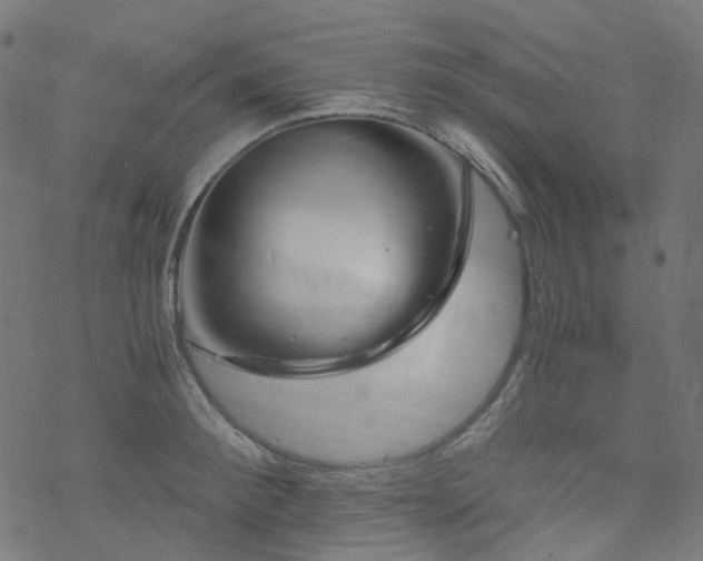 X0000070190900200605261154