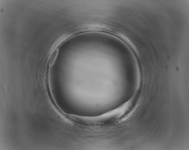 X0000070190901200605261154