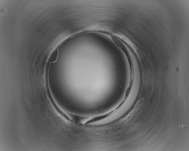 X0000070190902200605261154