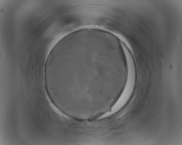 X0000070190903200605261154