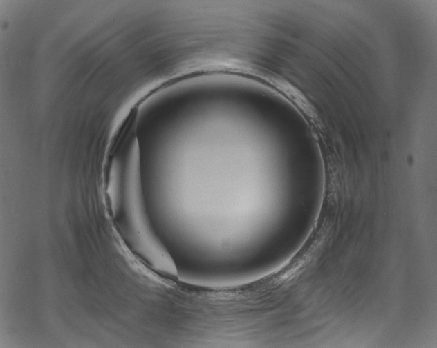 X0000070190904200605261154