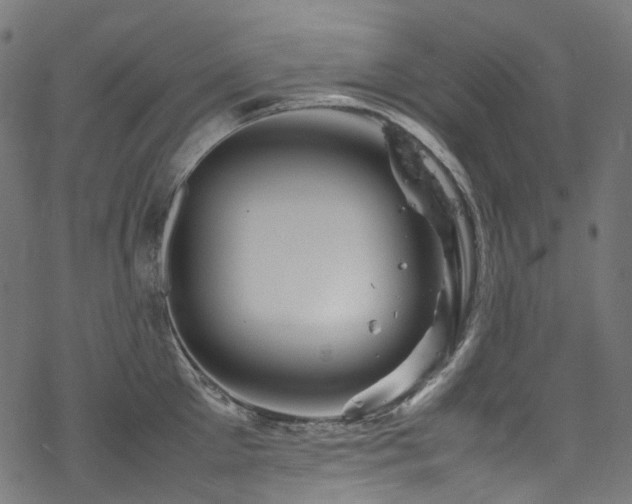 X0000070190905200605261154