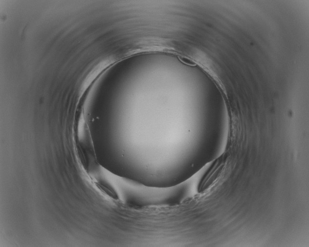 X0000070190906200605261154