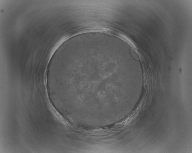 X0000070190907200605261154