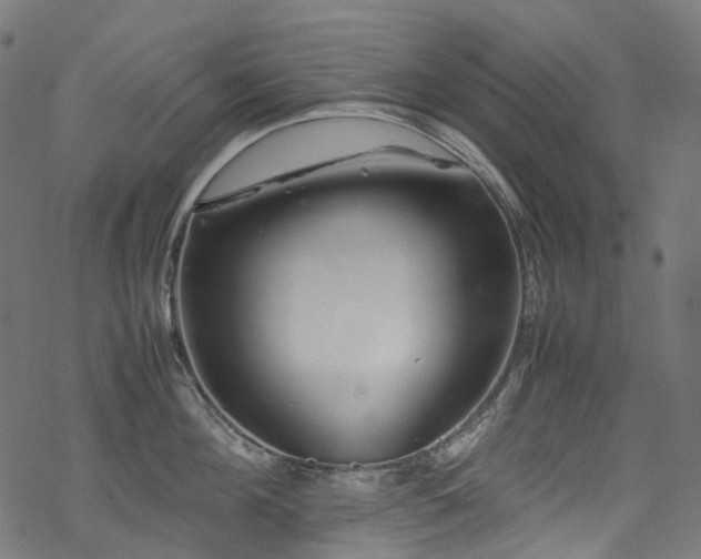 X0000070190908200605261154