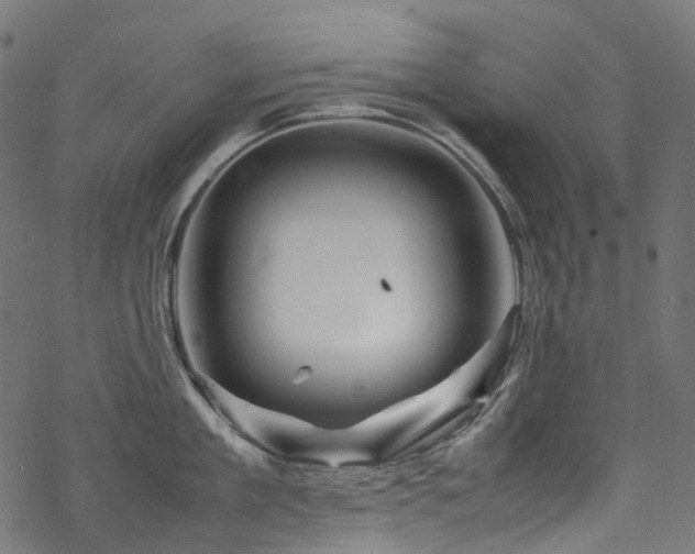 X0000070190909200605261154