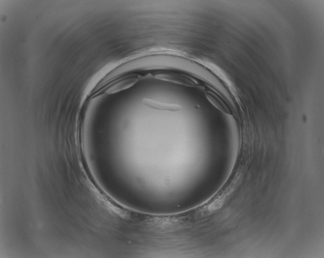 X0000070190910200605261154