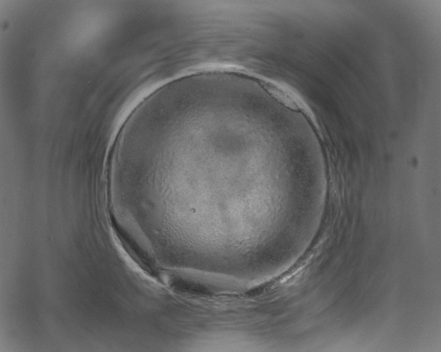 X0000070190911200605261154