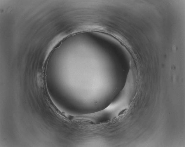 X0000070190912200605261154