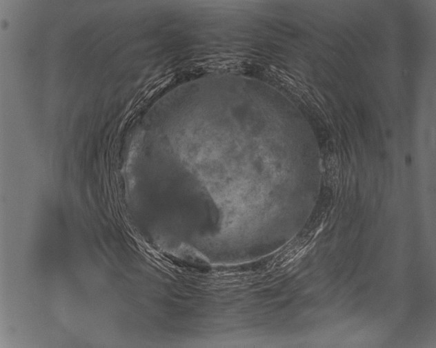 X0000070190913200605261153