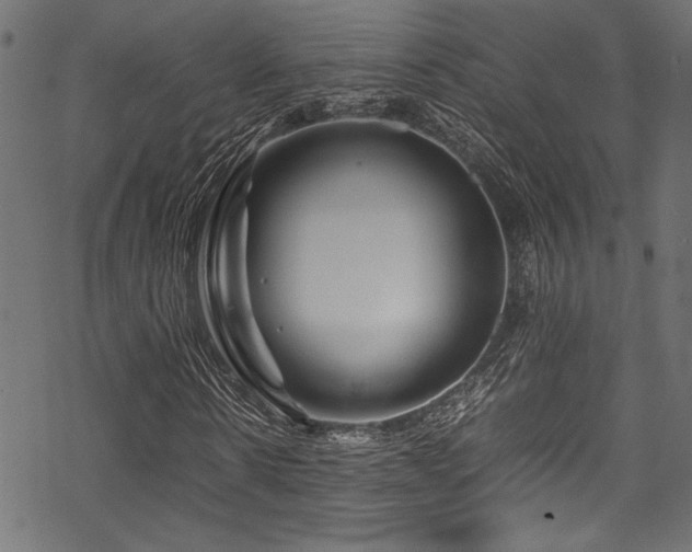 X0000070190914200605261153