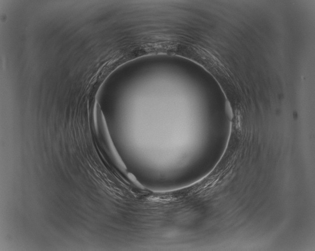 X0000070190915200605261153