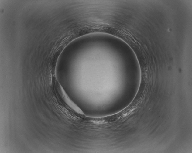 X0000070190916200605261154