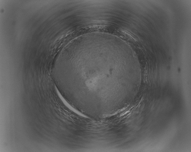 X0000070190917200605261154