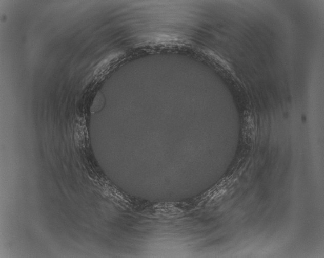 X0000070190918200605261154