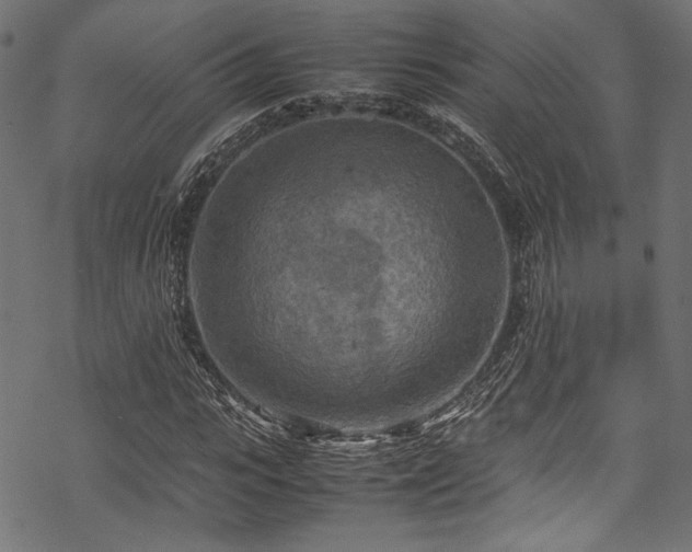 X0000070190919200605261154