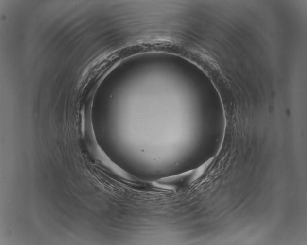 X0000070190920200605261154