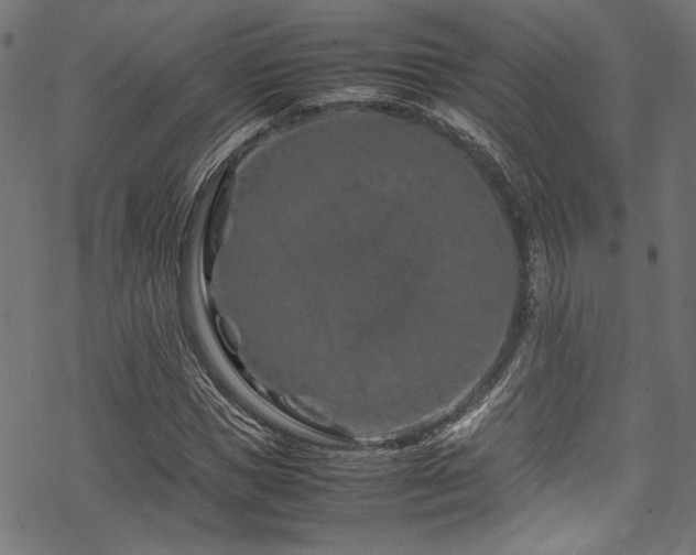 X0000070190921200605261154