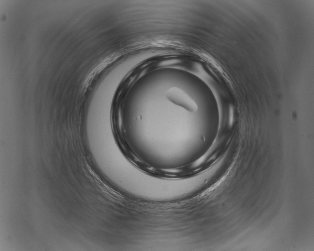 X0000070190922200605261154