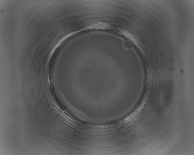 X0000070190923200605261154