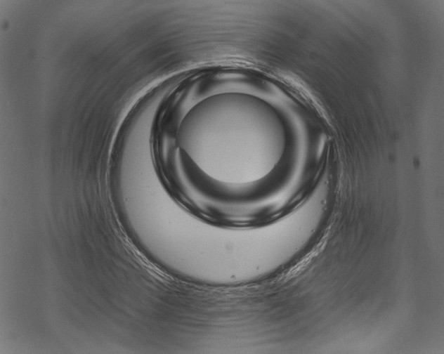 X0000070190924200605261154