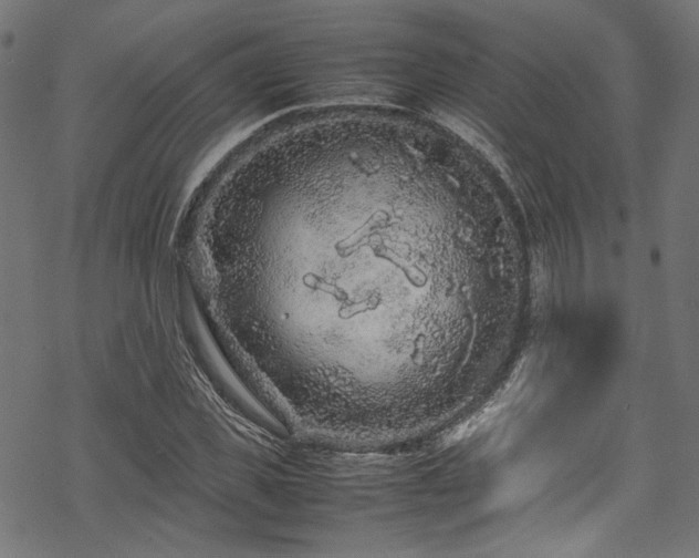 X0000070190925200605261154