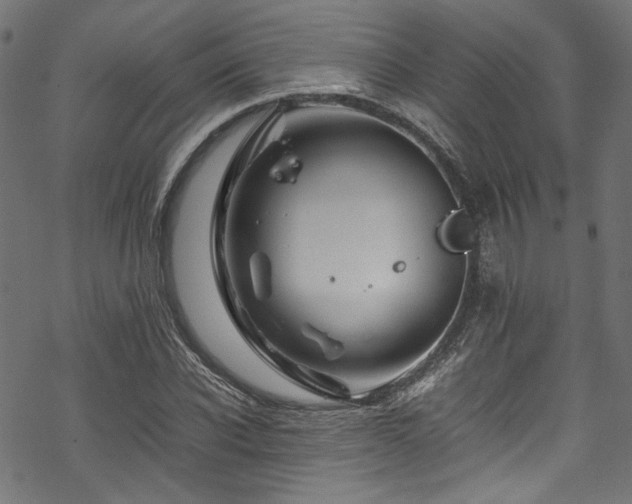 X0000070190926200605261154