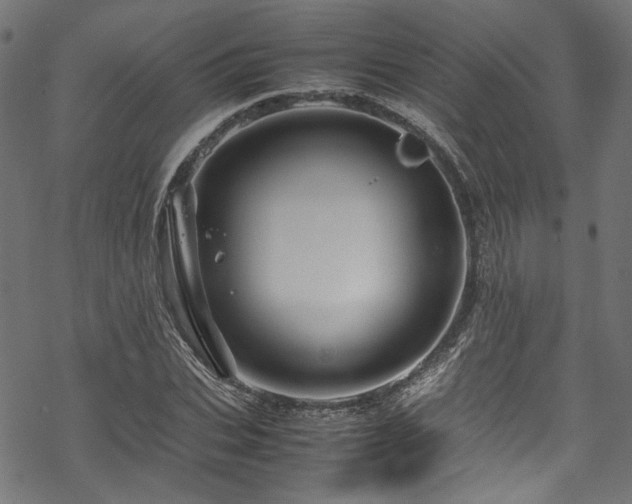 X0000070190927200605261154